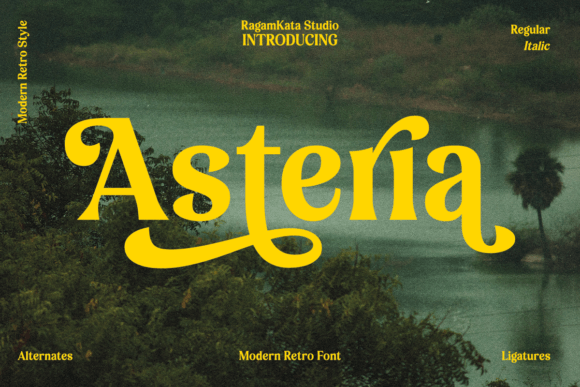Asteria Retro Display Font: A Versatile Choice for Visual Storytelling