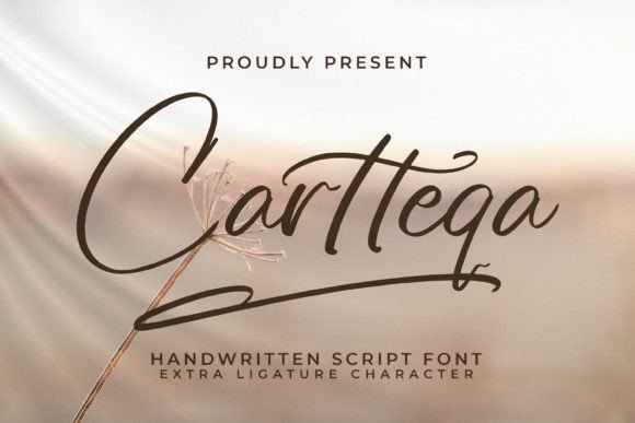 Cartteqa: The Definitive Tool for Modern Branding and Visual Identity
